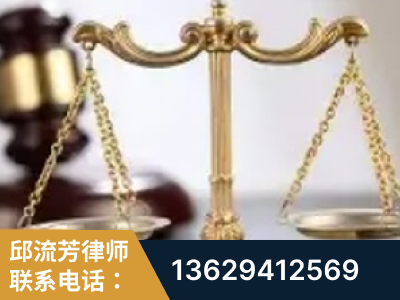 柳州-委托诉讼代理人出庭